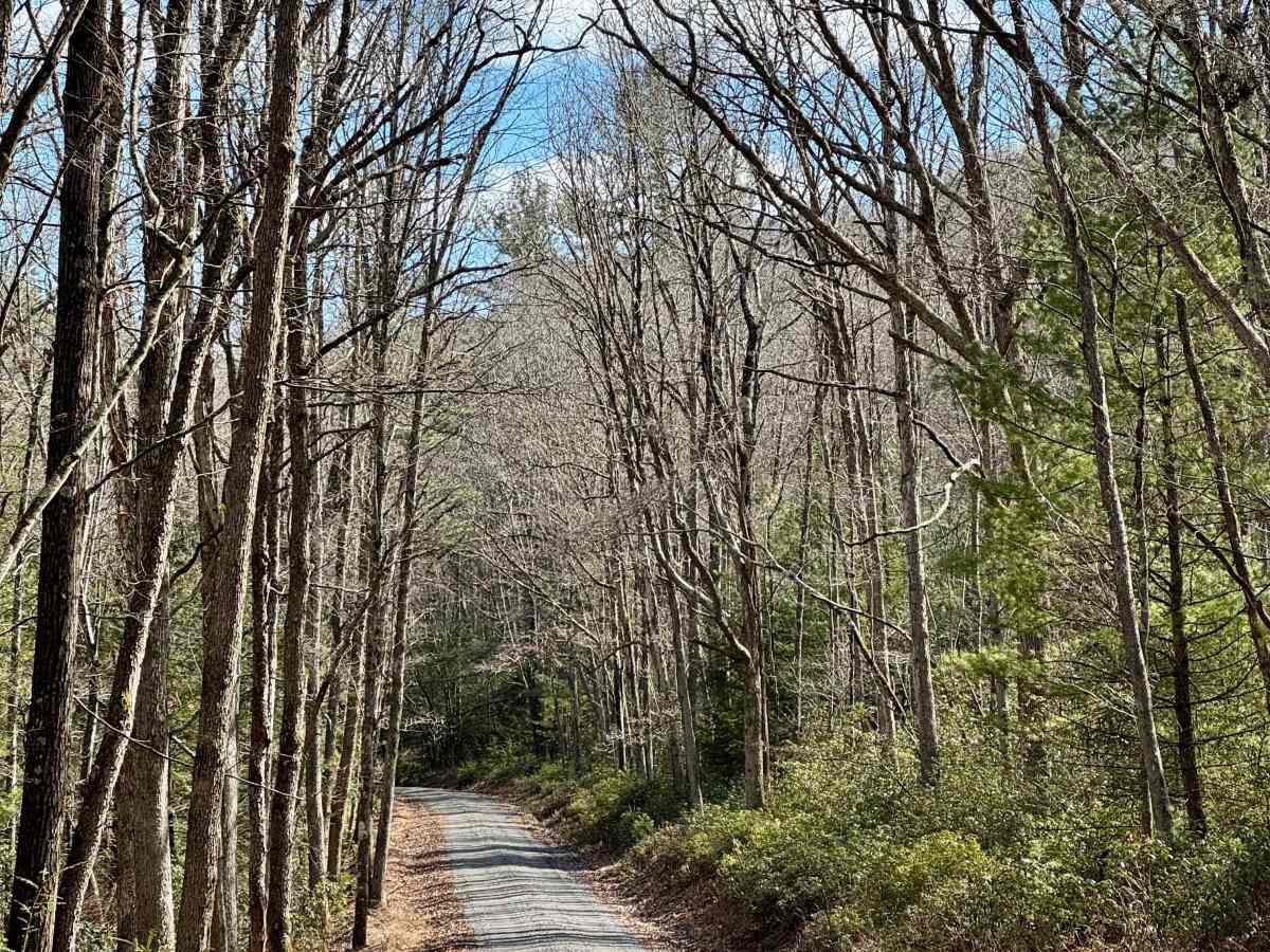 Shintown Run Road photo 5