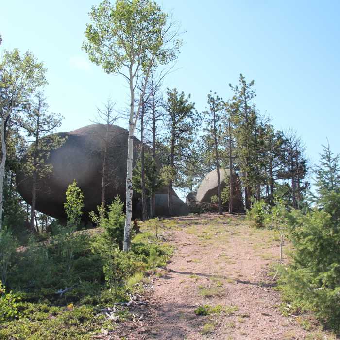 Near Balanced Rock Road #322