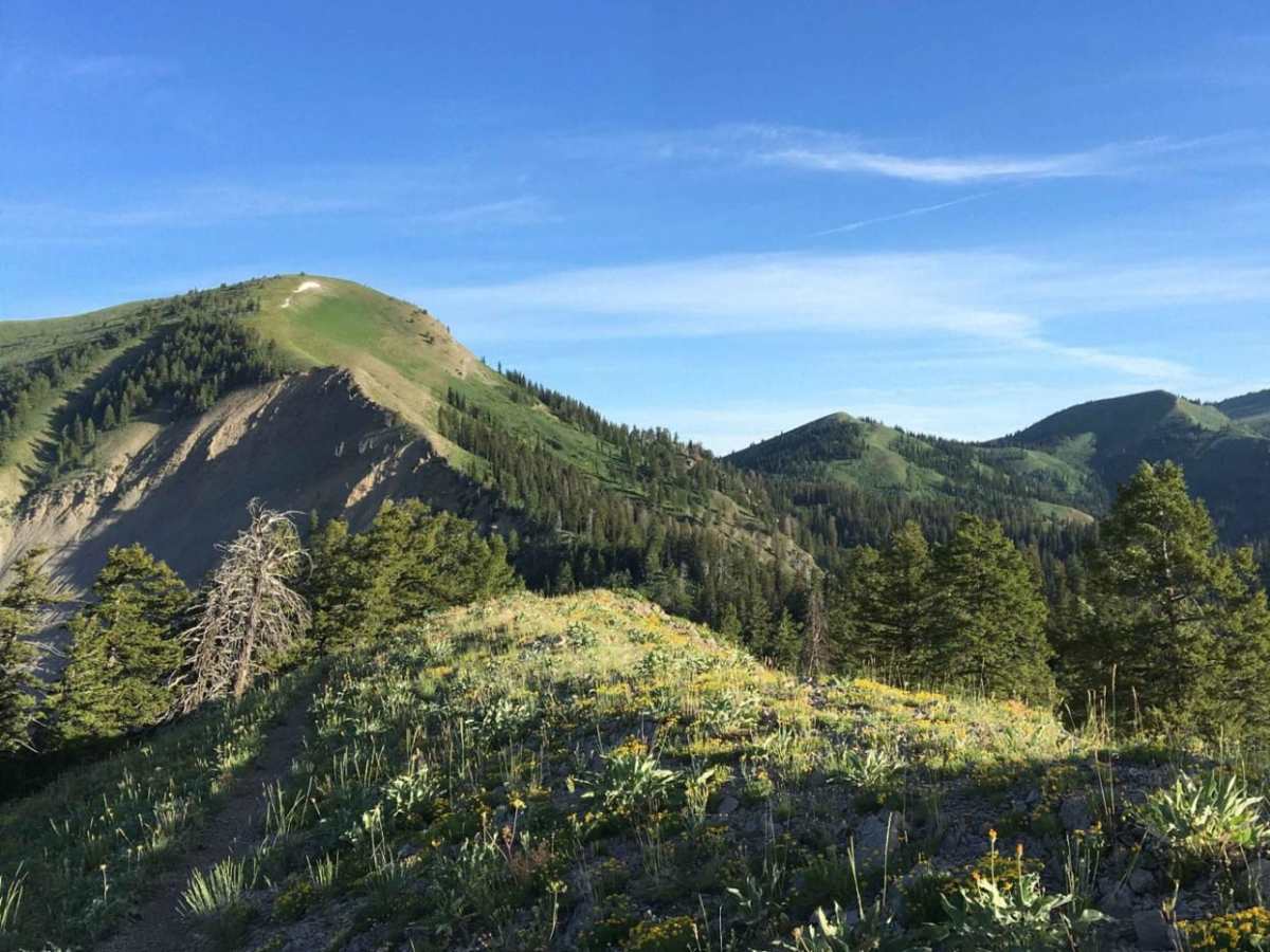 Fleming Canyon trail photo
