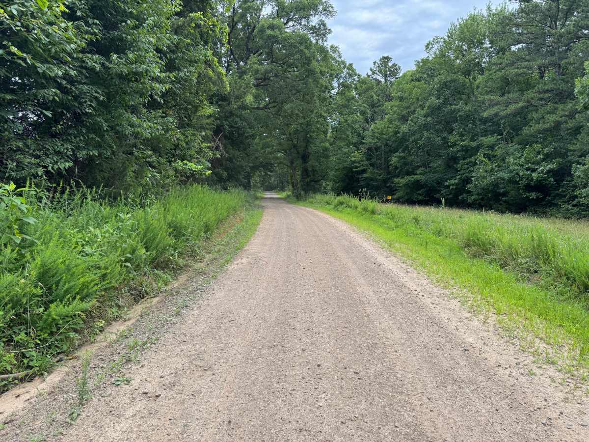 County Road 4291 photo 3