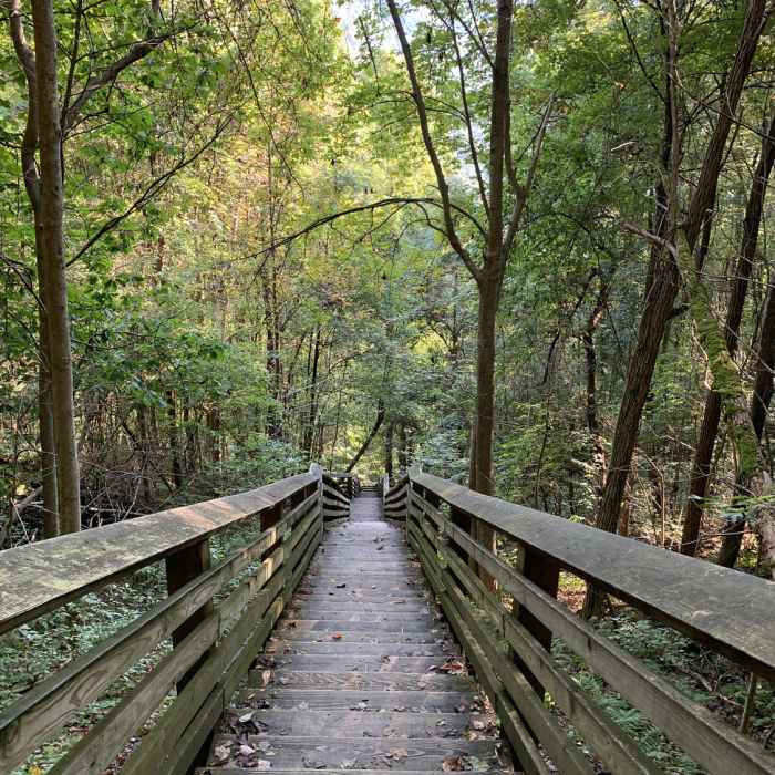 Near Kaymoor Miners Trail