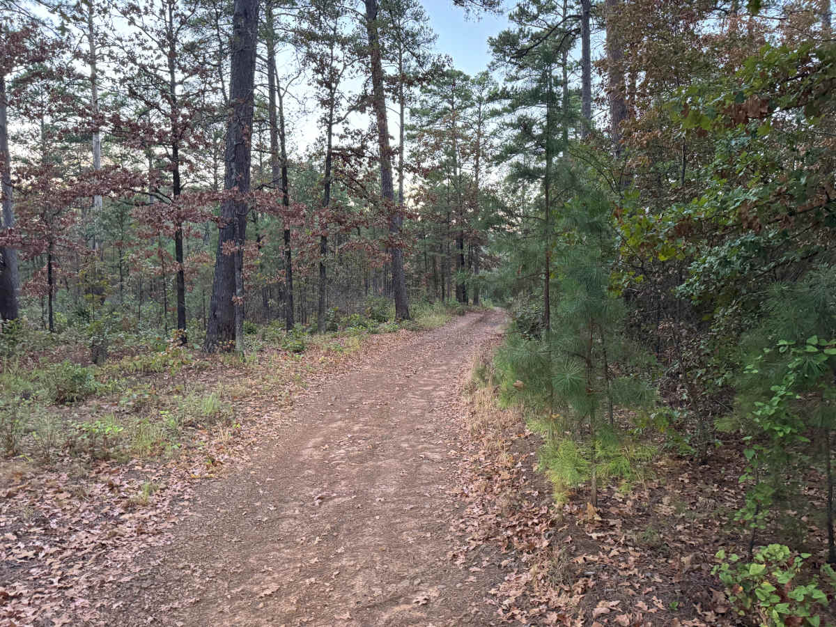 Calico Road photo 5