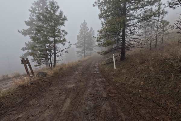 Tarpiscan Road Spur