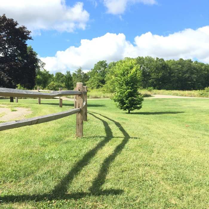 This is a snapshot of some of the views from the parking lot. Near Maybury State Park