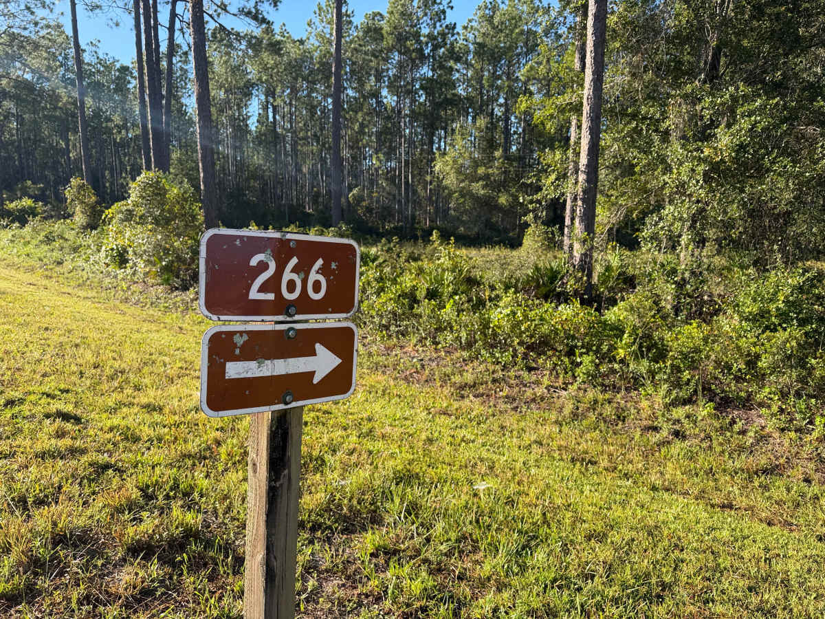 FS 266 trail photo