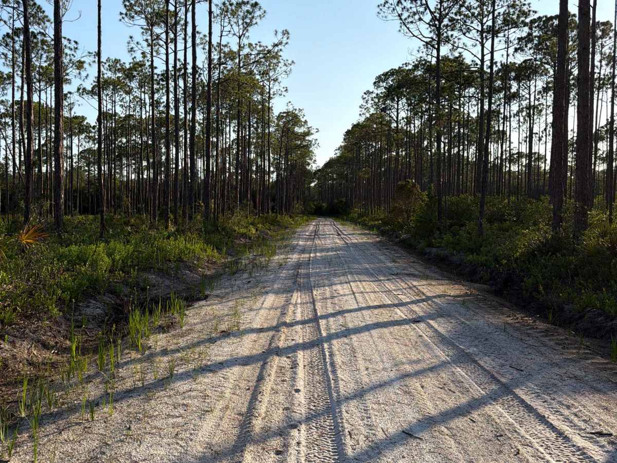FS 48 trail photo