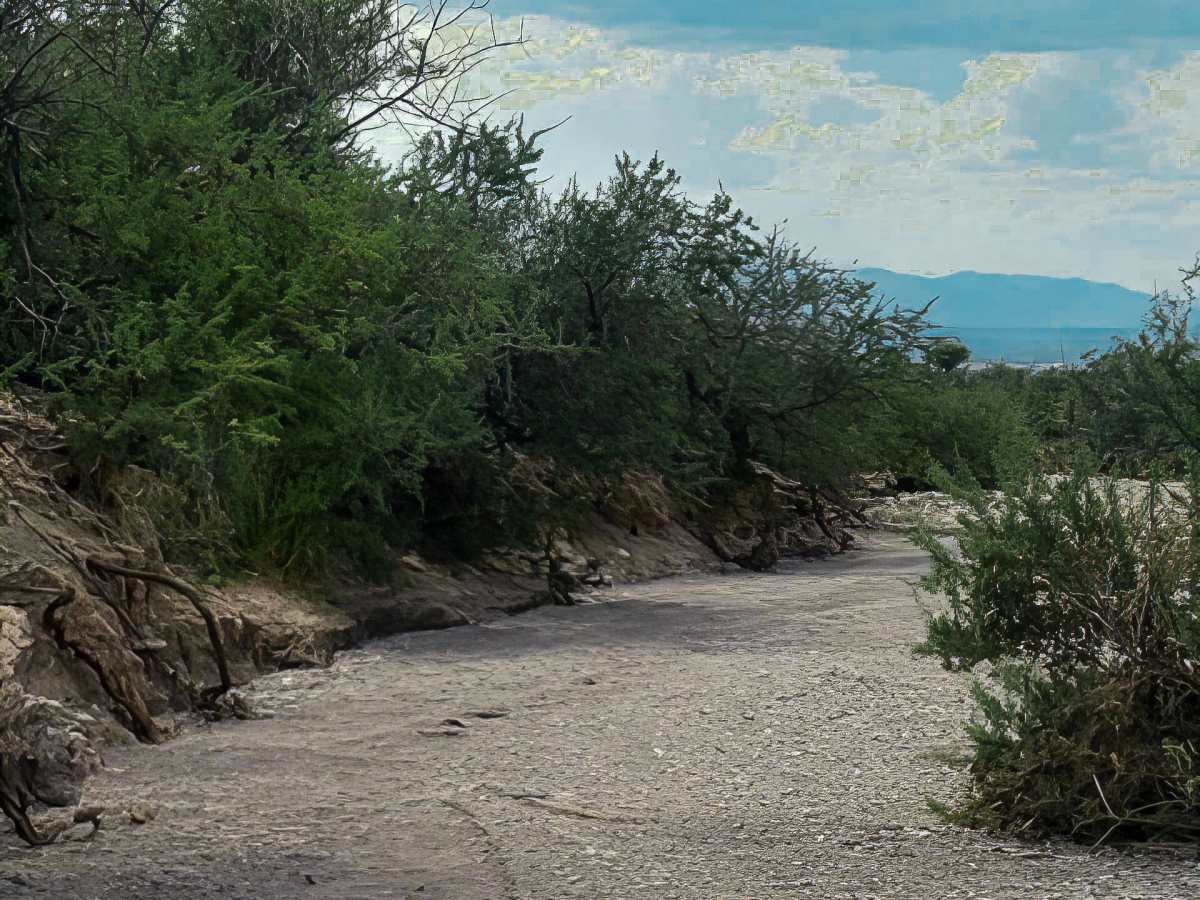 Ss1161 photo 6