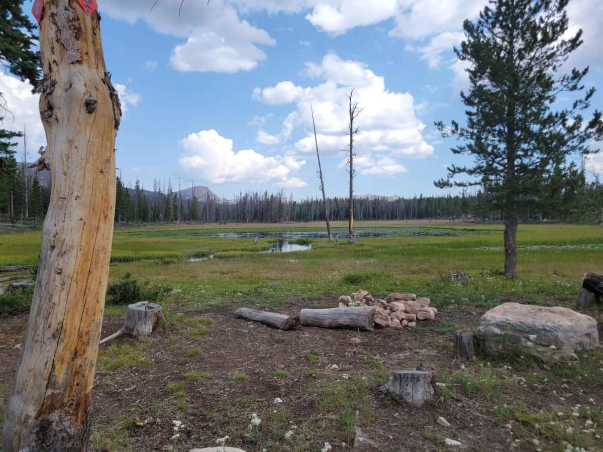 Washington Lake Trail photo 6