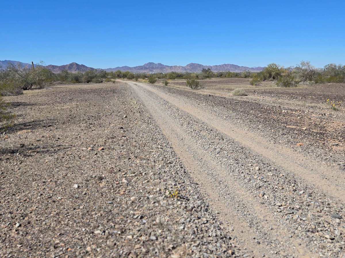 Across the Flats - BLM 0082 photo 5