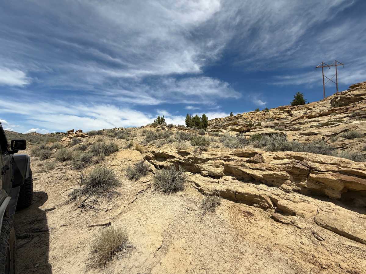 Bill's Trail photo 4