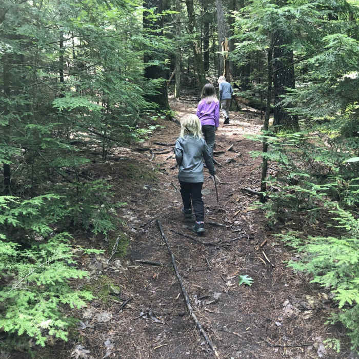 Near French Mountain Trail