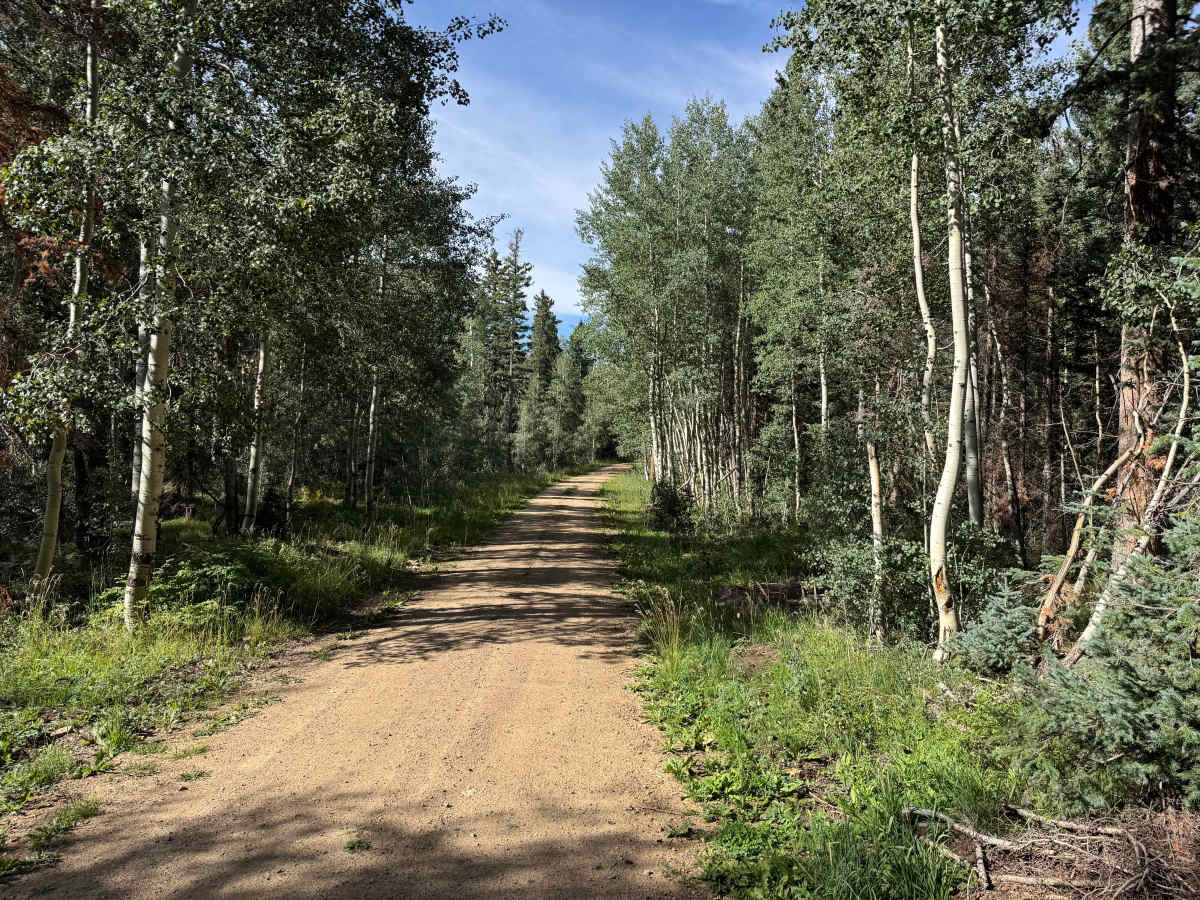 Pipe Creek Road trail photo