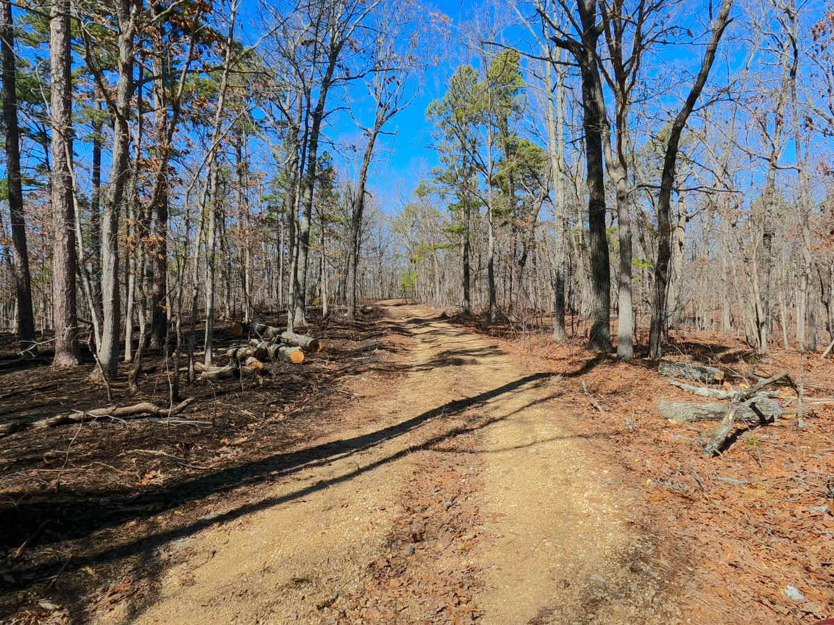 Clear Creek North Side - FS 2269 photo 3