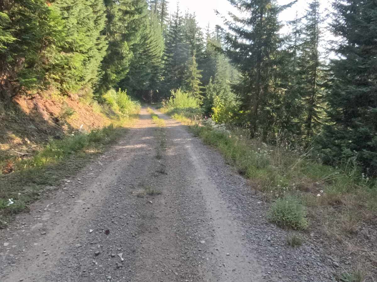 Trappers Butte - FS 1161 photo 3