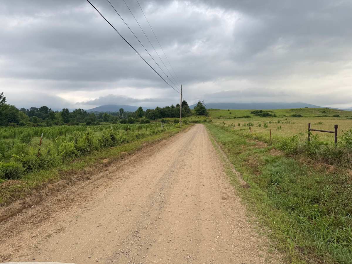County Road 3261 photo 3