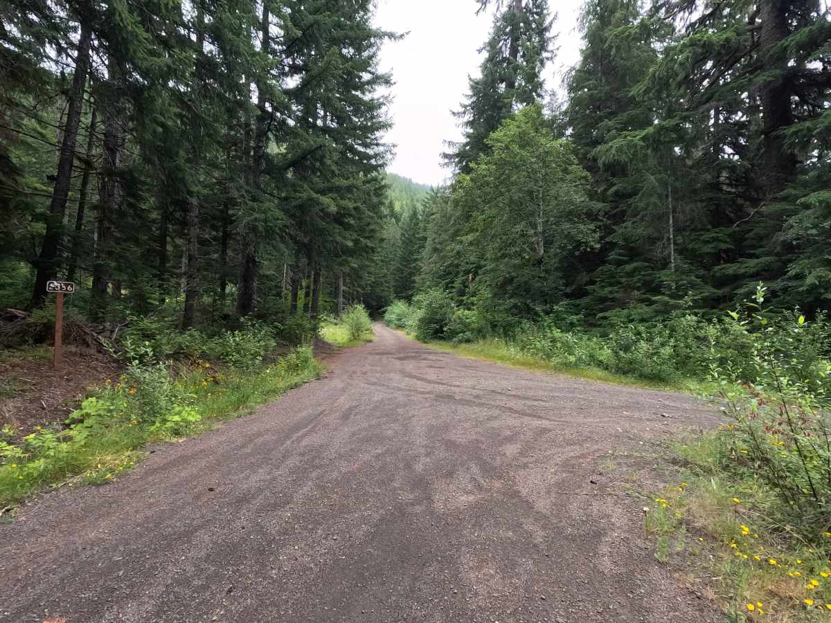 FS 2356 trail photo
