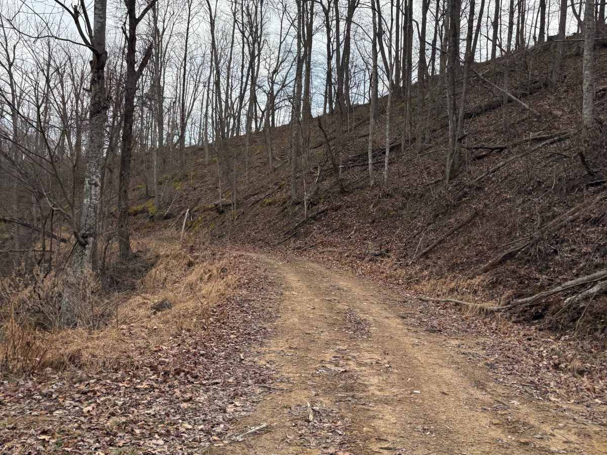 Trail 11 photo 4