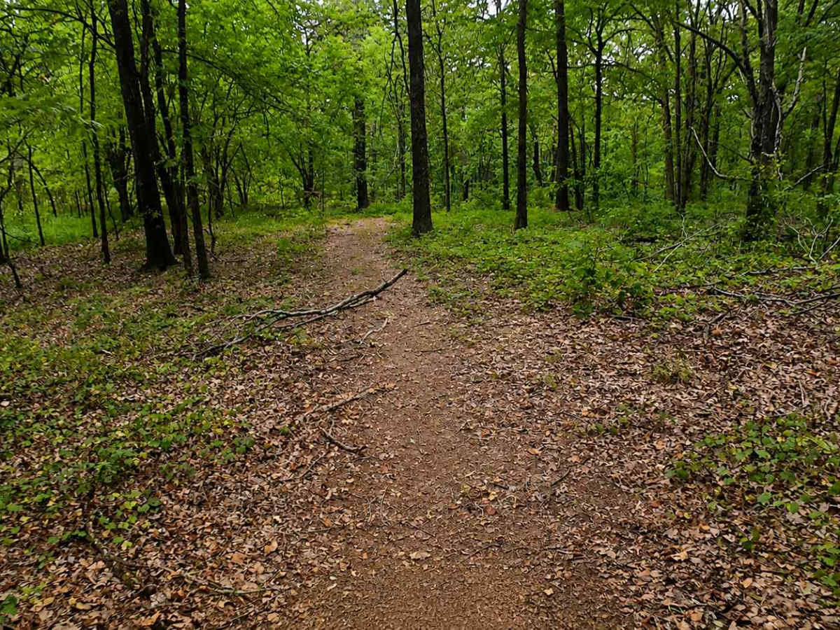Thompson Creek Trail photo 6