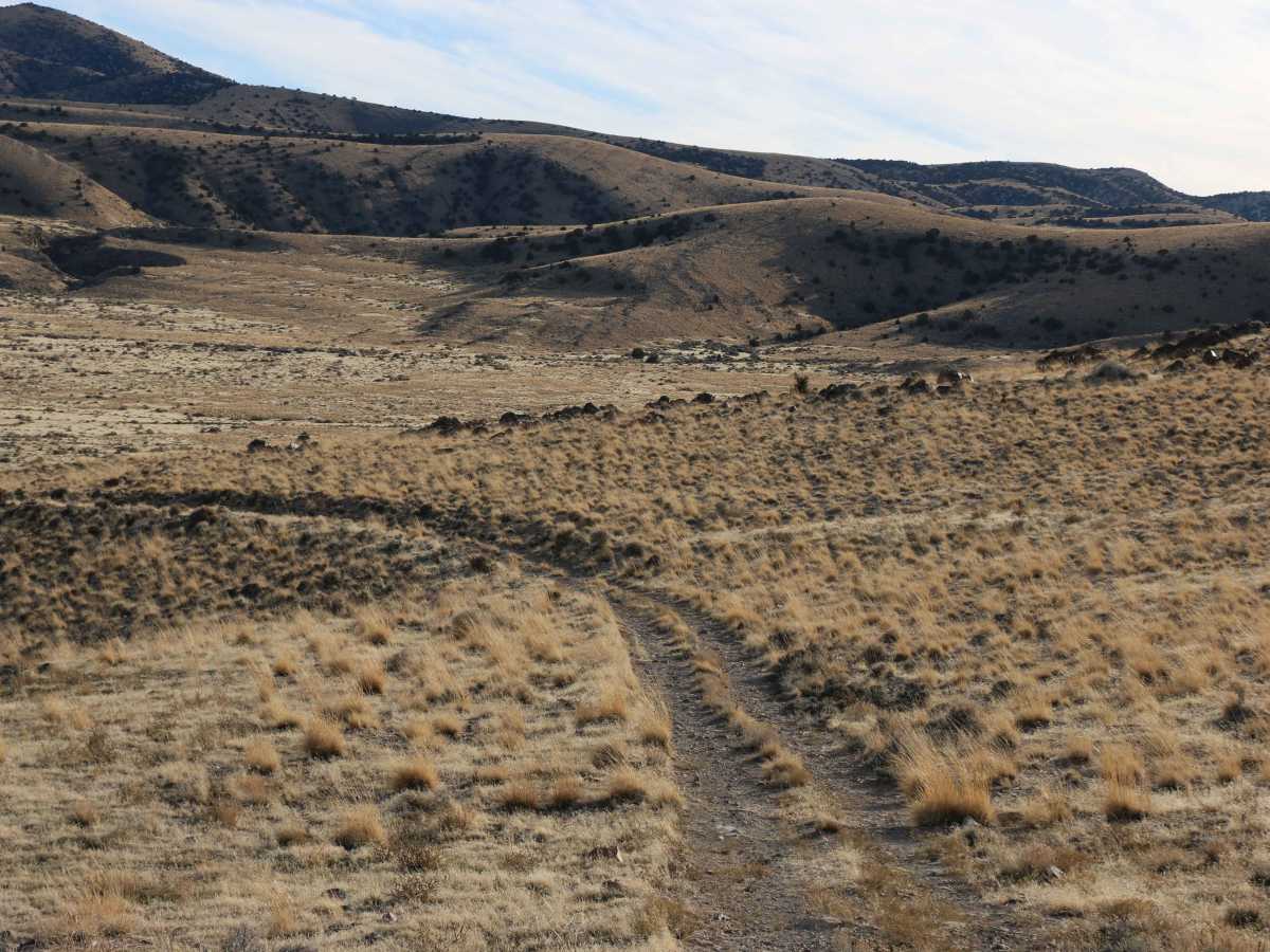Tooele / Box Elder Line photo 2