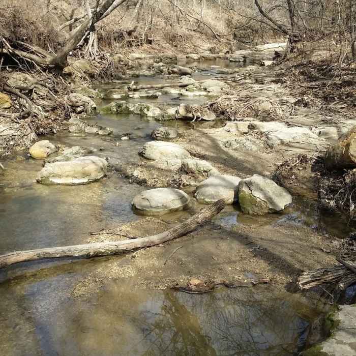 A local creek flows through Arbor Hills Nature Preserve. Near Arbor Hills Nature Preserve