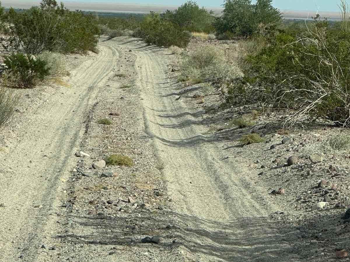 Salt Flats Trail photo 6