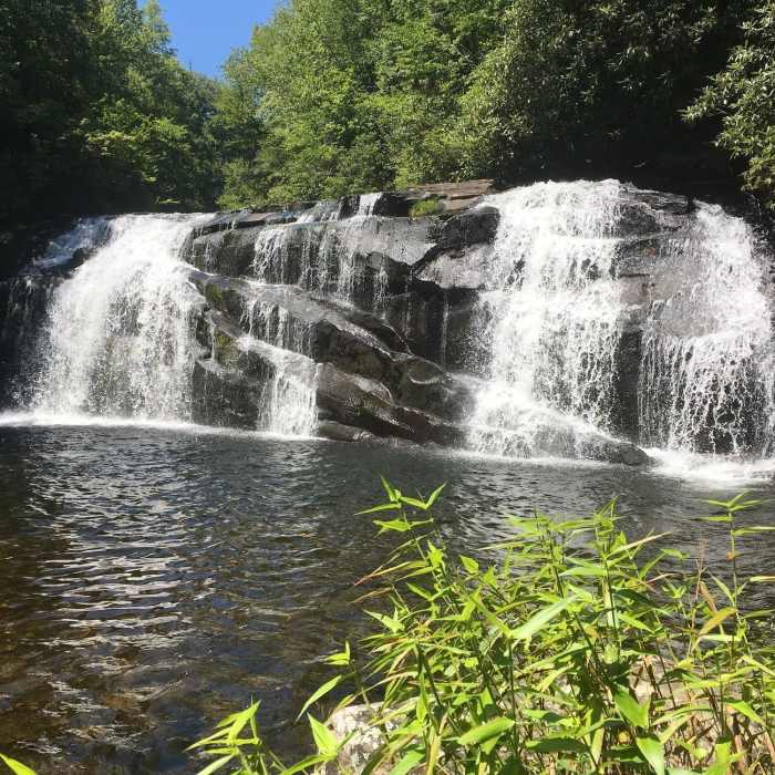 Near Snowbird Creek Trail #64 - Upper Section