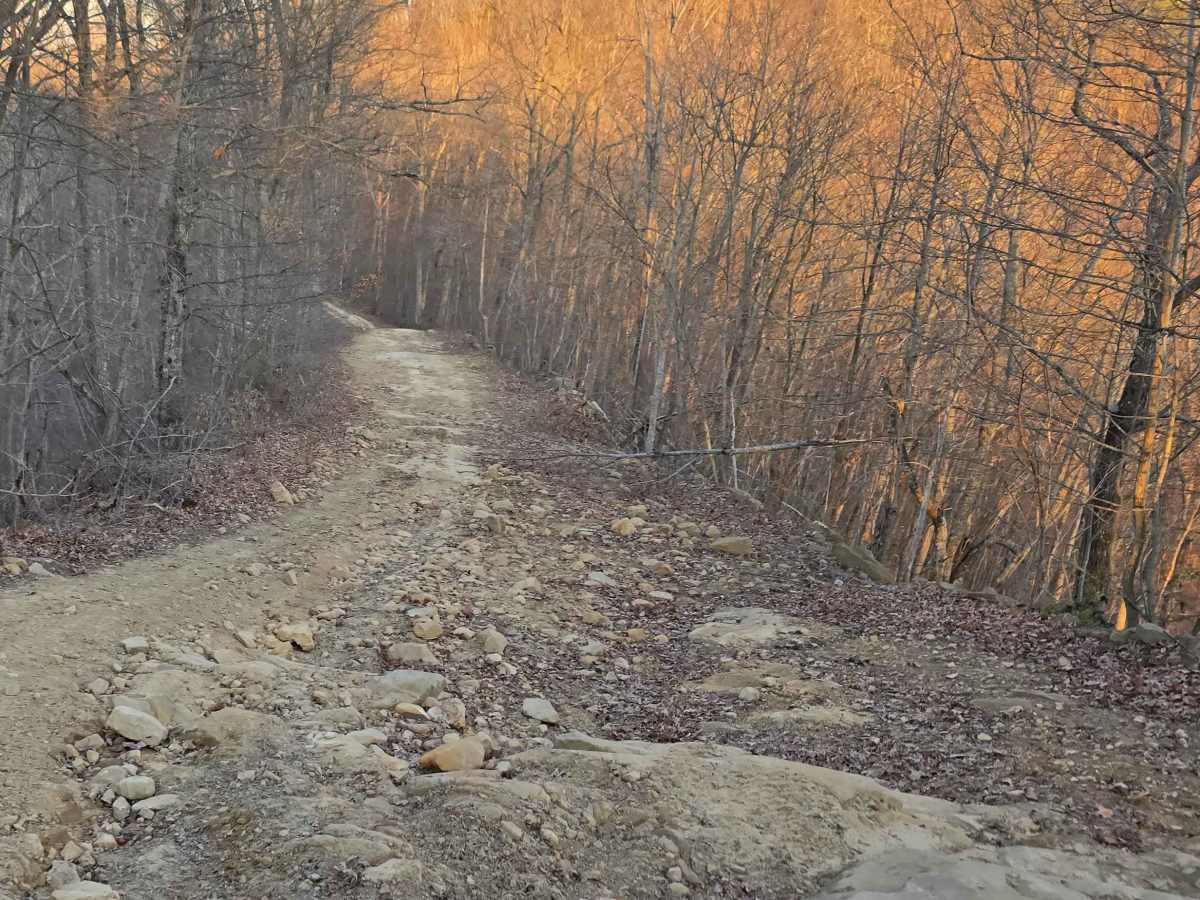 Buffalo Mountain photo 3