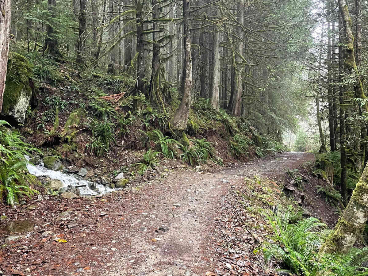 Ring Creek Rip photo 5