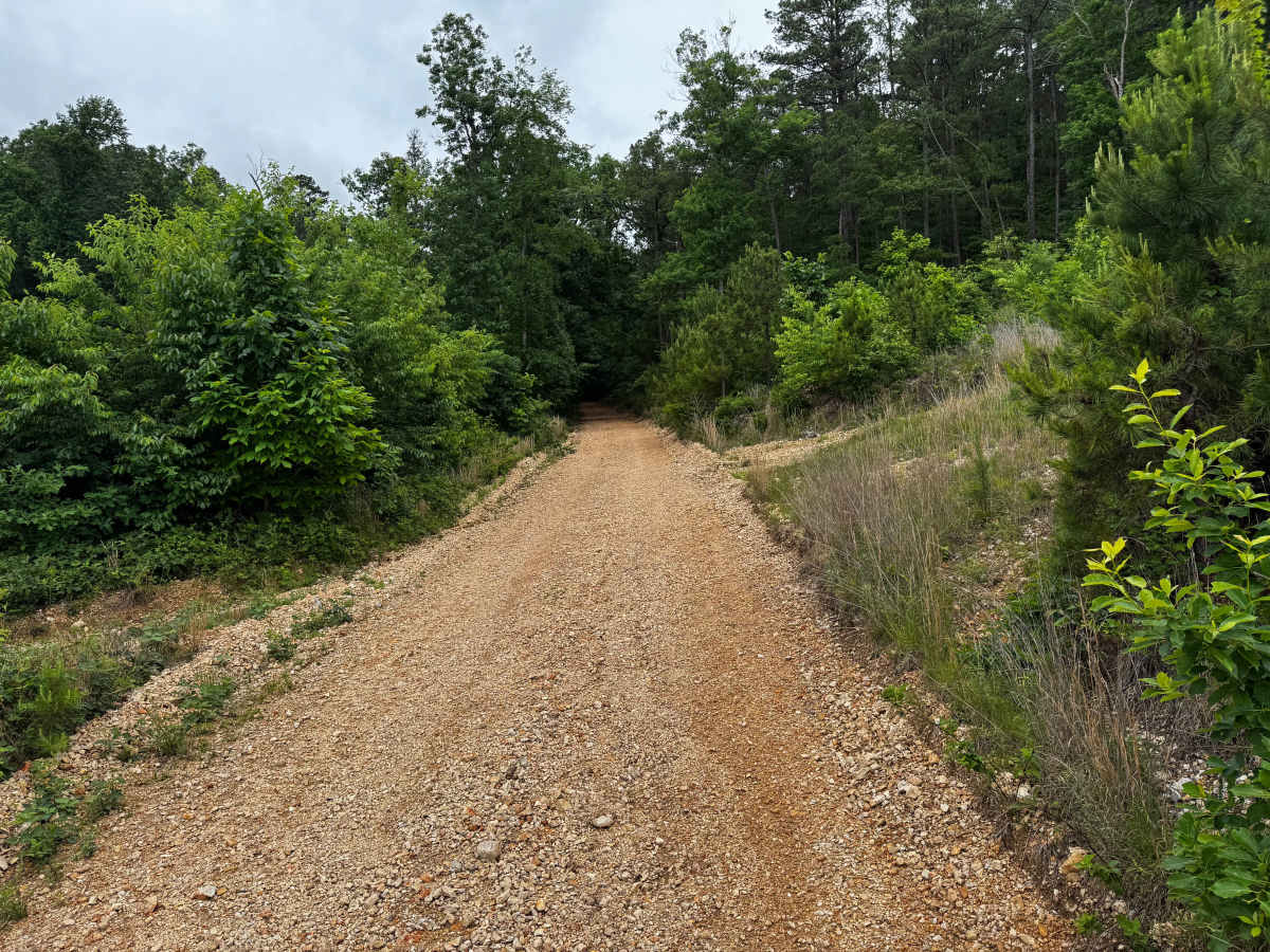 1106 photo 5