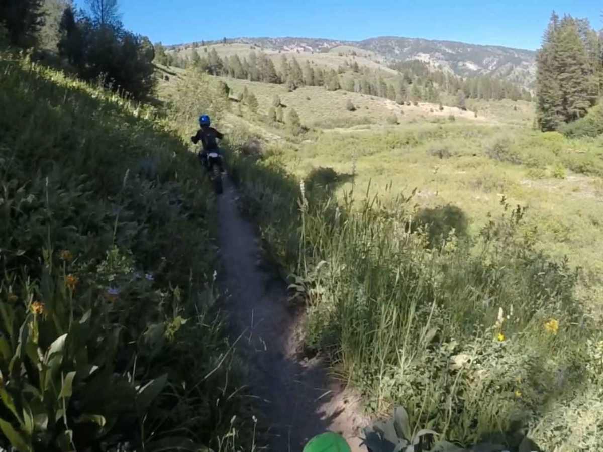 North Bear Creek photo 6