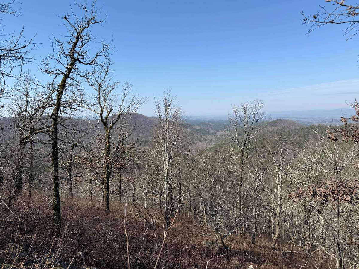 Bee Mountain Lookout Trail photo 3