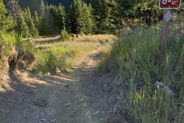 Blue Mountain Look Out Trail