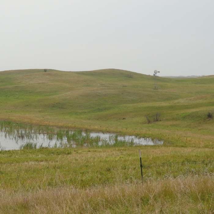 Near Lostwood Refuge Prairie Hiking Trail