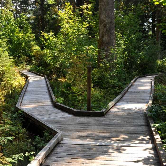 Near Shadow of the Sentinels