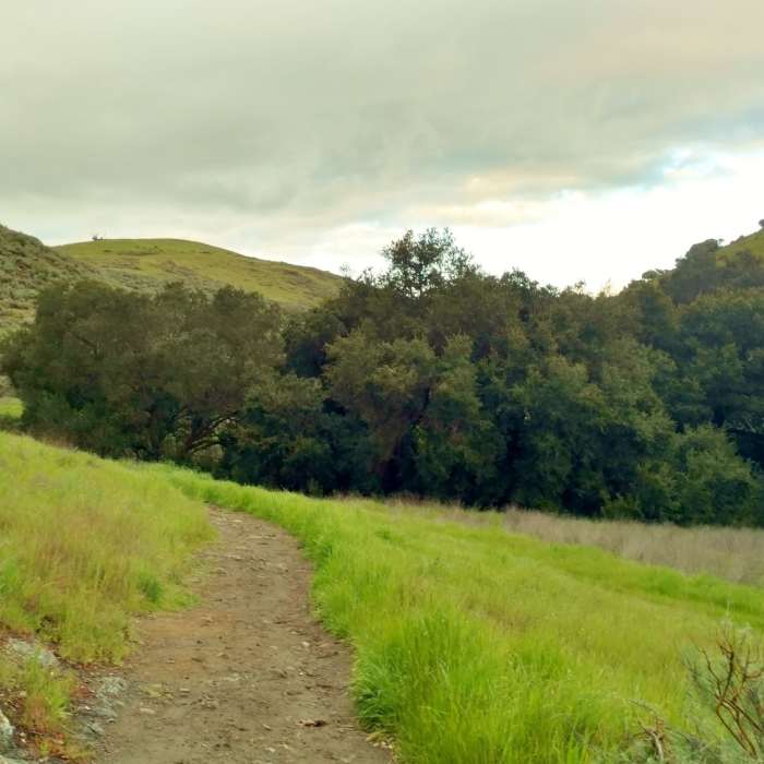 Near Fortini Trail