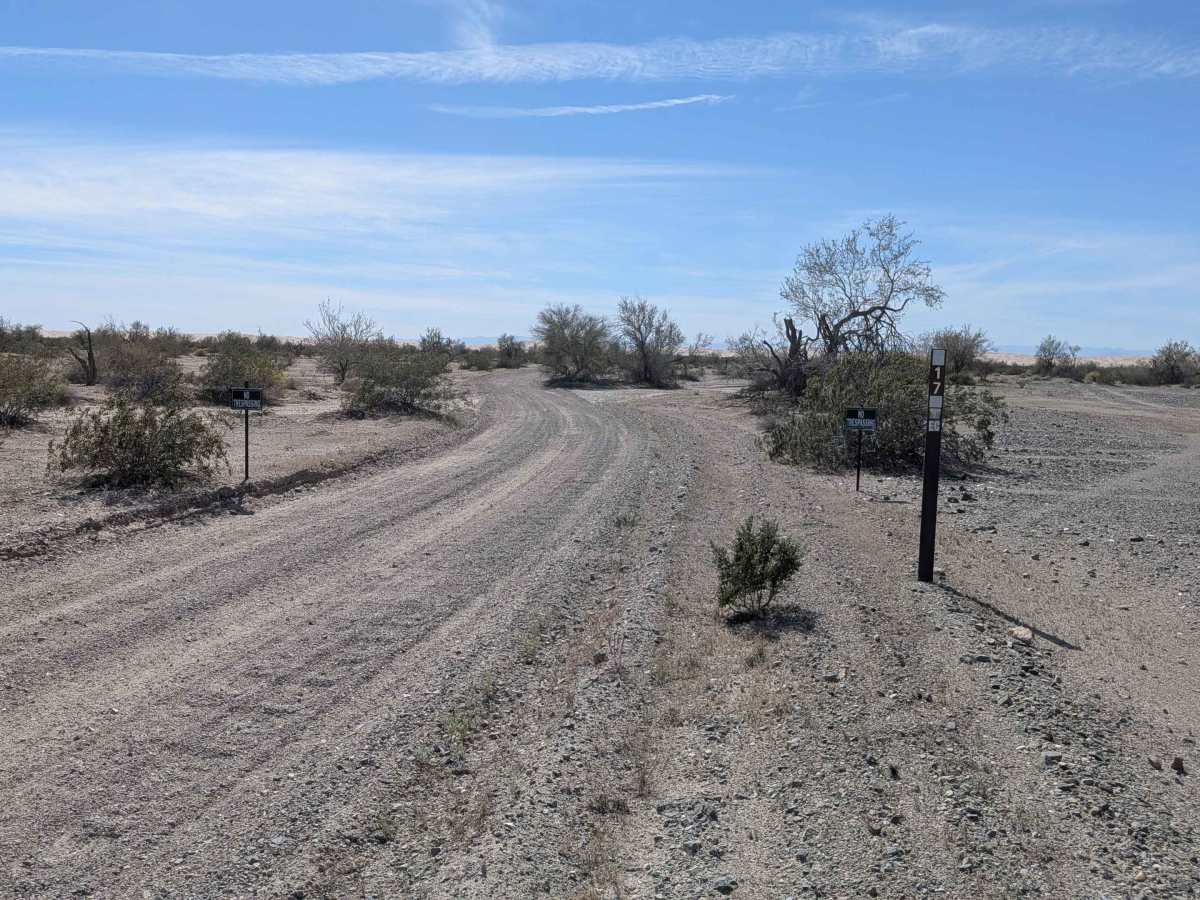BLM 617 photo 6