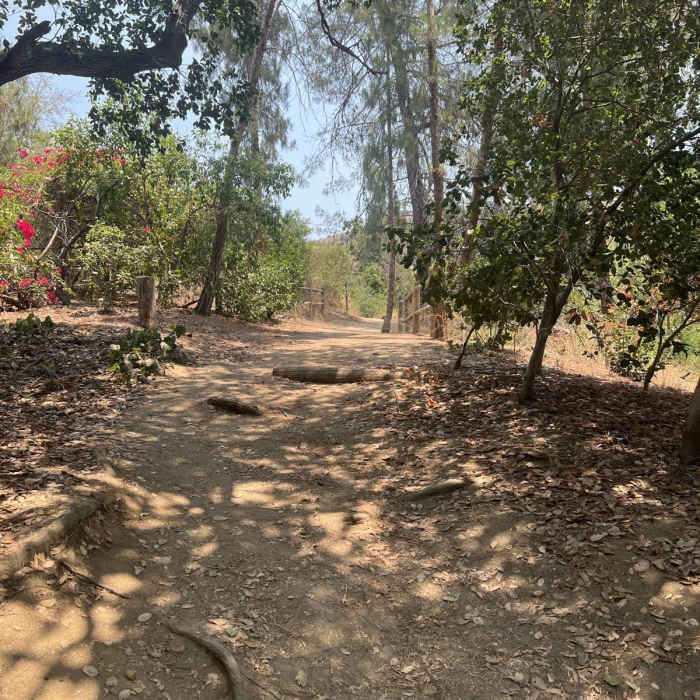 Near Brand Park Verdugo Loop