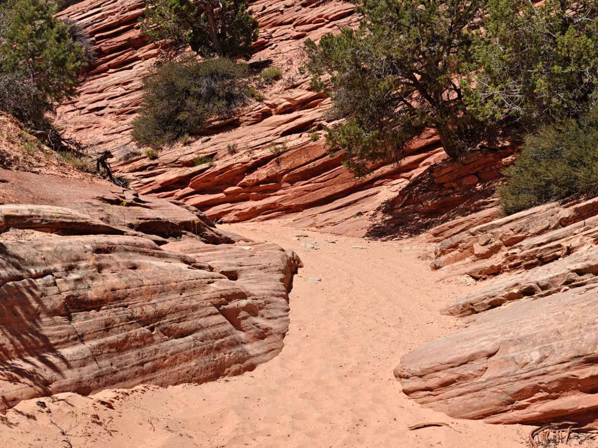 Diana's Throne - BLM 106V photo 6