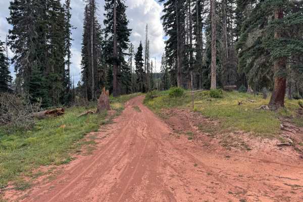 Divide Road