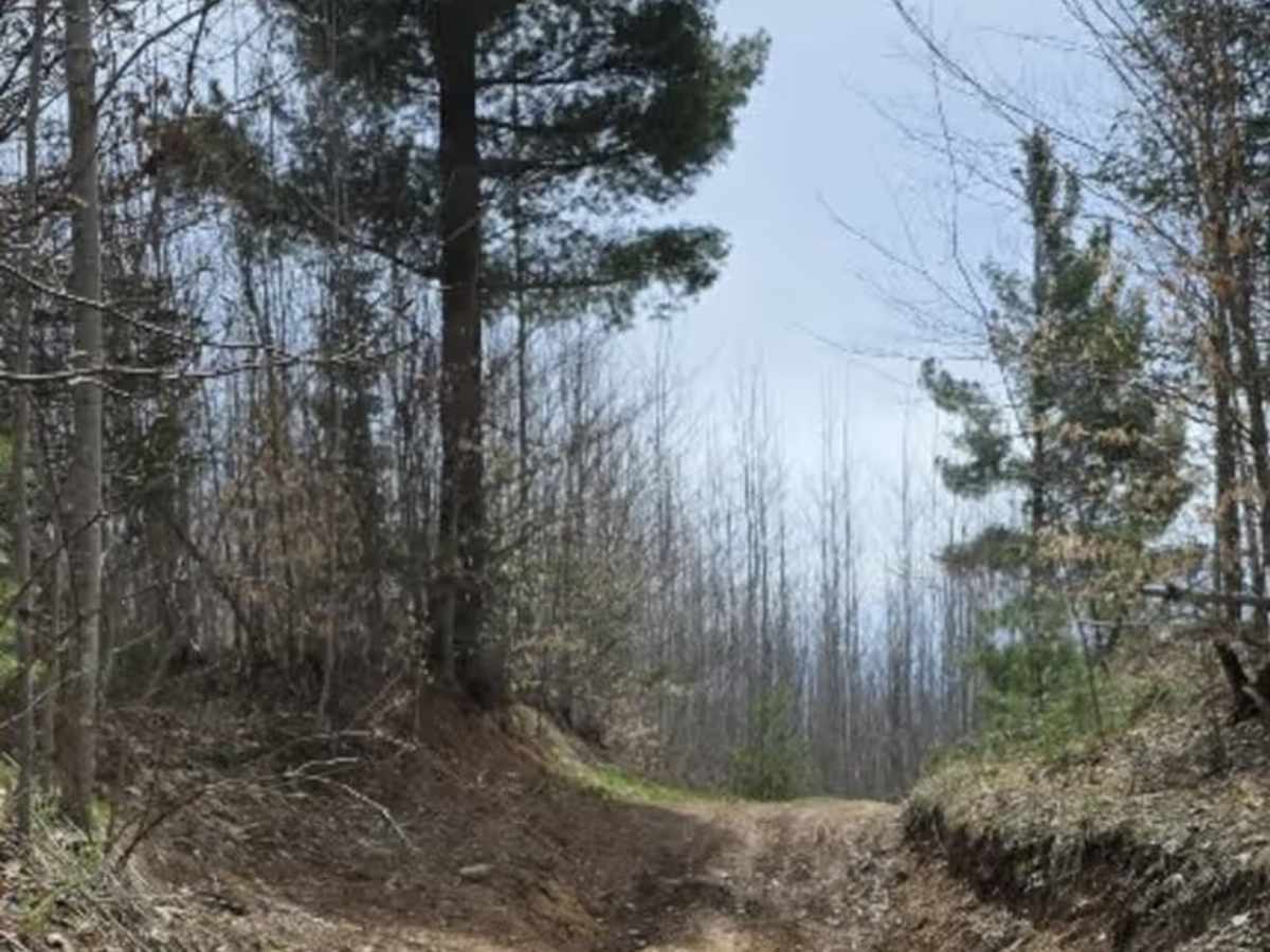 Holms Road Loop photo 2