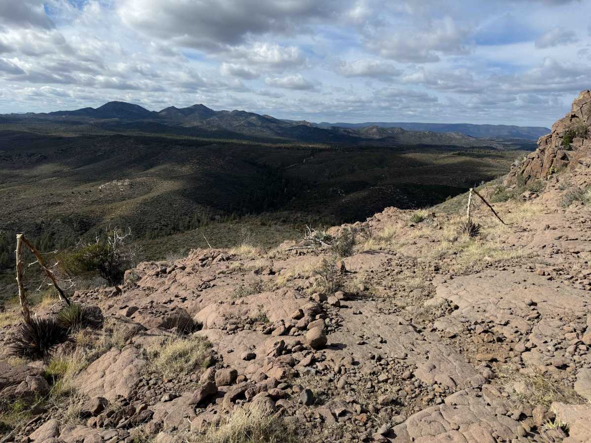 Cottonwood Trail #8 (Singletrack) photo 4