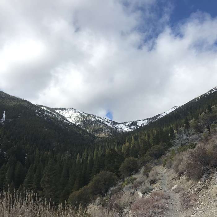 Near Sierra Canyon Trail