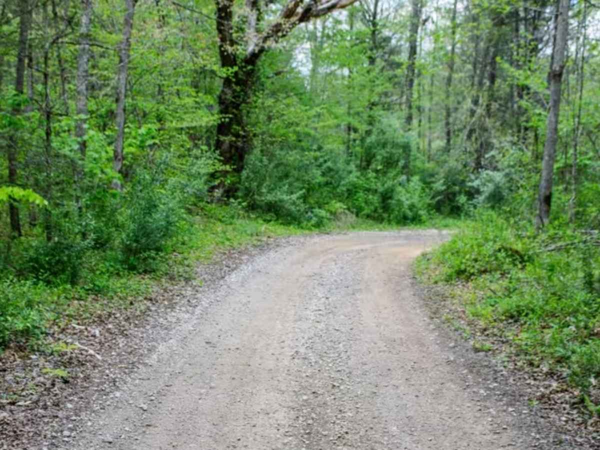 Patterson Road trail photo
