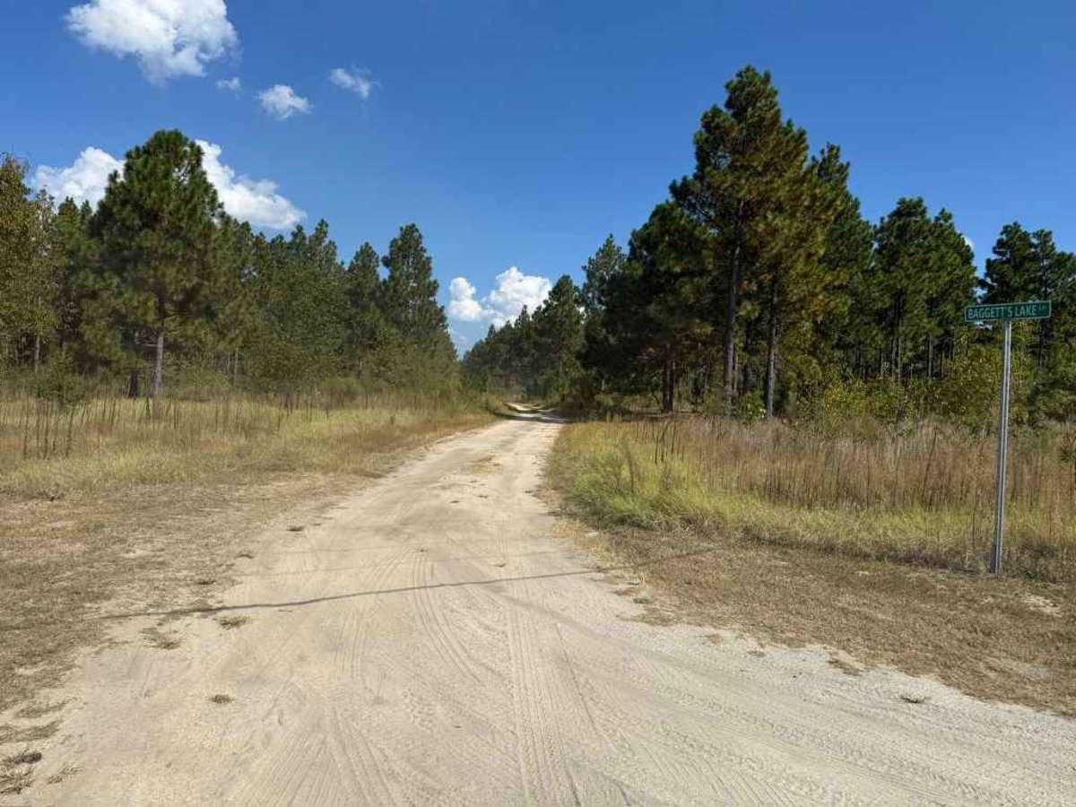 Baggetts Lake Lane trail photo