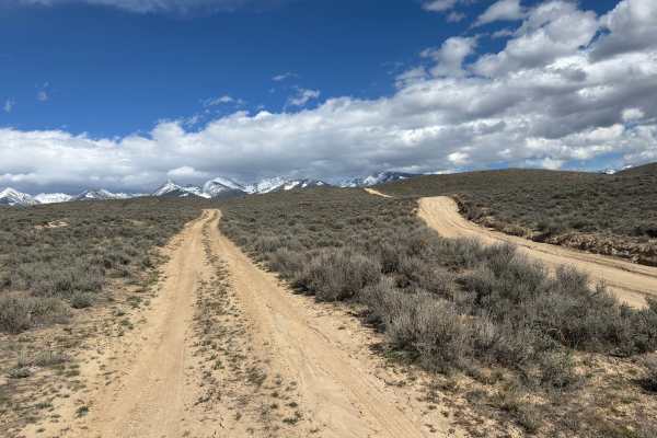 BLM 128