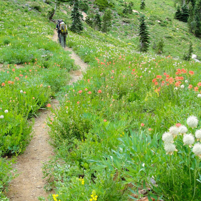 Near Long Canyon Trail
