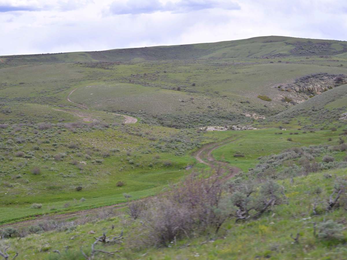 Range Study Loop - FS 10217 photo 6
