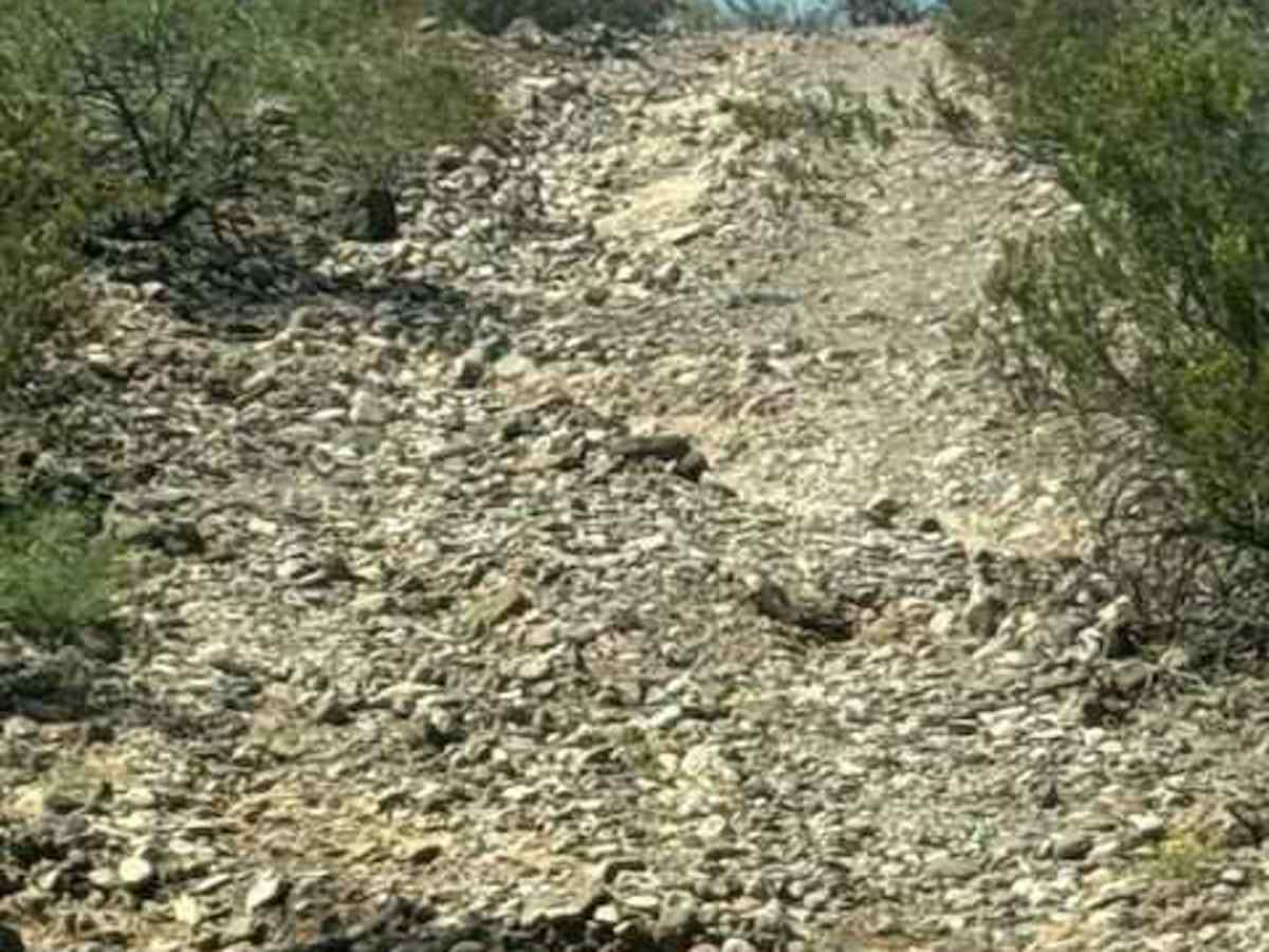 BLM PE1018 photo 3