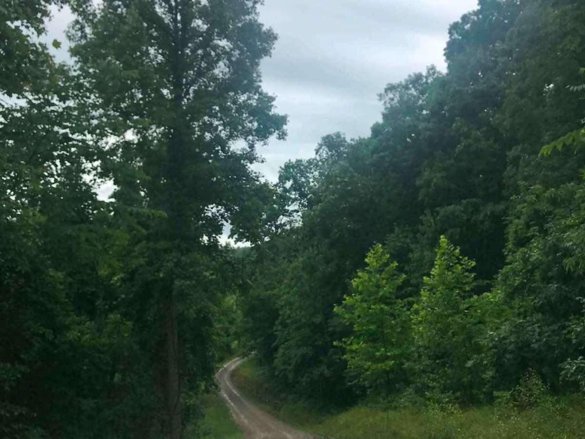 Cannons Creek trail photo