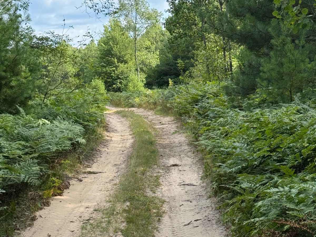 Healy-Henry North Trail photo 6
